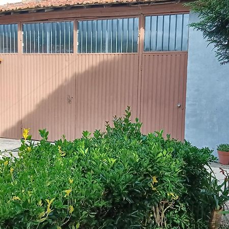 Casa Da Vovo Ceu - Casa De Campo Gandaresa - Country House, Entre Coimbra E Aveiro, A 15 Minutos Carro Praia Mira - Quintal Com Piscina Insuflavel كانتانهيدي المظهر الخارجي الصورة