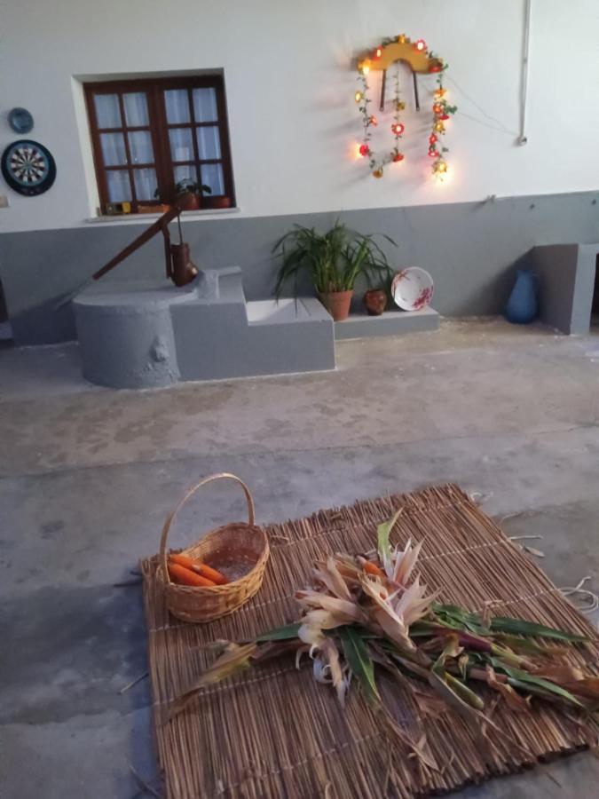 Casa Da Vovo Ceu - Casa De Campo Gandaresa - Country House, Entre Coimbra E Aveiro, A 15 Minutos Carro Praia Mira - Quintal Com Piscina Insuflavel كانتانهيدي المظهر الخارجي الصورة